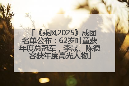 《乘风2025》成团名单公布：62岁叶童获年度总冠军，李晟、陈德容获年度高光人物