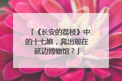 《长安的荔枝》中的十七娘，竟出现在延边博物馆？