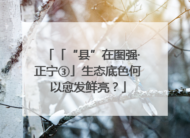 「“县”在图强·正宁③」生态底色何以愈发鲜亮？
