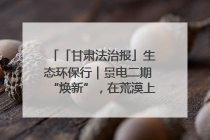 「甘肃法治报」生态环保行｜景电二期“焕新”，在荒漠上筑起一道绿色长城