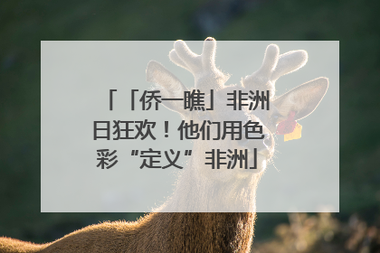 「侨一瞧」非洲日狂欢！他们用色彩“定义”非洲