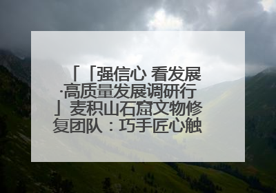 「强信心 看发展·高质量发展调研行」麦积山石窟文物修复团队：巧手匠心触摸“光阴的故事”