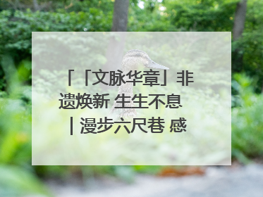 「文脉华章」非遗焕新 生生不息｜漫步六尺巷 感受礼让文化浸润的“巷”往生活