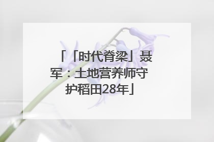「时代脊梁」聂军：土地营养师守护稻田28年