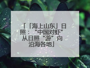 「海上山东」日照：“中国对虾” 从日照“游”向沿海各地