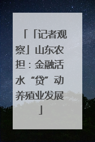 「记者观察」山东农担：金融活水“贷”动养殖业发展