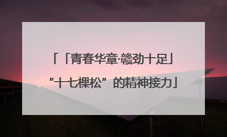 「青春华章·赣劲十足」“十七棵松”的精神接力