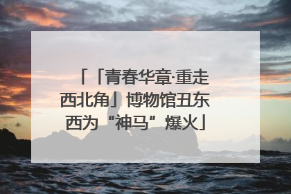 「青春华章·重走西北角」博物馆丑东西为“神马”爆火