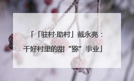 「驻村·助村」戴永亮：干好村里的甜“猕”事业