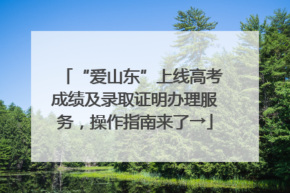 “爱山东”上线高考成绩及录取证明办理服务，操作指南来了→
