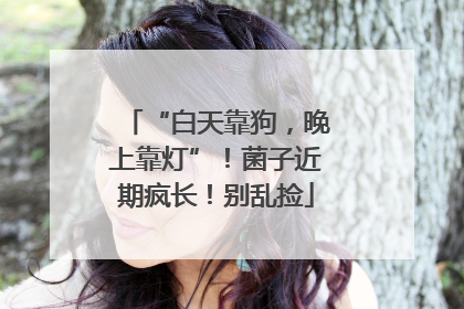 “白天靠狗，晚上靠灯”！菌子近期疯长！别乱捡