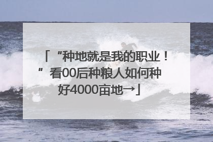 “种地就是我的职业！”看00后种粮人如何种好4000亩地→