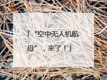 “空中无人机航母”，来了！