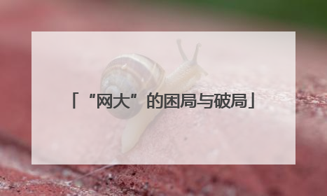 “网大”的困局与破局