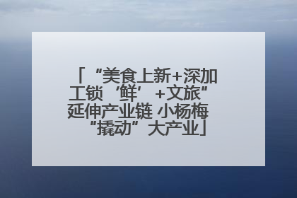 “美食上新+深加工锁‘鲜’+文旅”延伸产业链 小杨梅“撬动”大产业