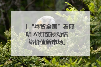 “粤贸全国”看照明 AI灯饰撬动情绪价值新市场