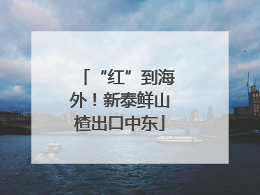 “红”到海外！新泰鲜山楂出口中东