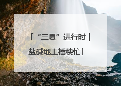 “三夏”进行时｜盐碱地上插秧忙