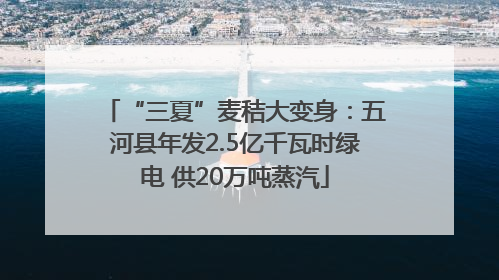 “三夏”麦秸大变身：五河县年发2.5亿千瓦时绿电 供20万吨蒸汽