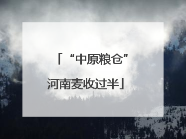 “中原粮仓”河南麦收过半
