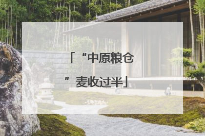 “中原粮仓”麦收过半