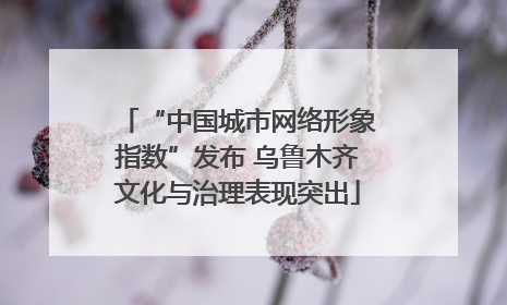 “中国城市网络形象指数”发布 乌鲁木齐文化与治理表现突出