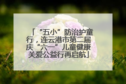 “五小”防治护童行，连云港市第二届庆“六一”儿童健康关爱公益行再启航