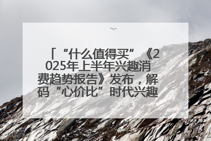 “什么值得买”《2025年上半年兴趣消费趋势报告》发布，解码“心价比”时代兴趣消费新范式