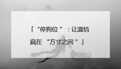 “停狗位 ”：让温情藏在 “方寸之间 ”