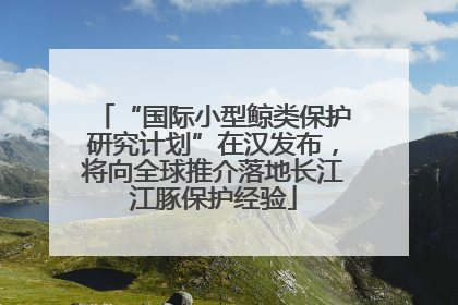 “国际小型鲸类保护研究计划”在汉发布，将向全球推介落地长江江豚保护经验