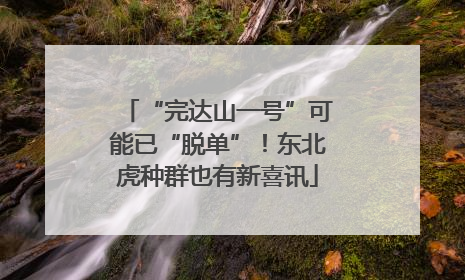 “完达山一号”可能已“脱单”！东北虎种群也有新喜讯