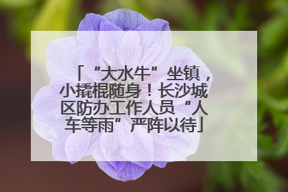 “大水牛”坐镇，小撬棍随身！长沙城区防办工作人员“人车等雨”严阵以待