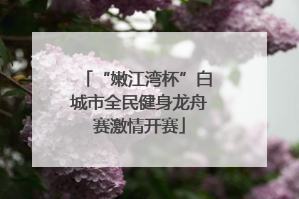 “嫩江湾杯”白城市全民健身龙舟赛激情开赛