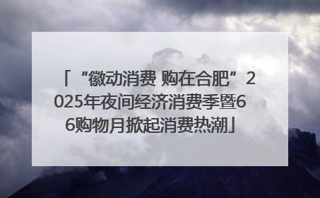 “徽动消费 购在合肥”2025年夜间经济消费季暨66购物月掀起消费热潮