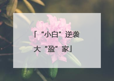 “小白”逆袭大“盈”家