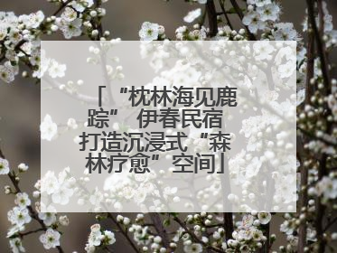 “枕林海见鹿踪” 伊春民宿打造沉浸式“森林疗愈”空间