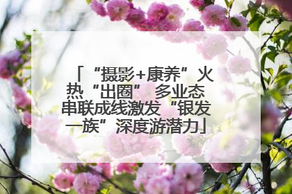 “摄影+康养”火热“出圈” 多业态串联成线激发“银发一族”深度游潜力