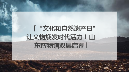 “文化和自然遗产日”让文物焕发时代活力！山东博物馆双展启幕