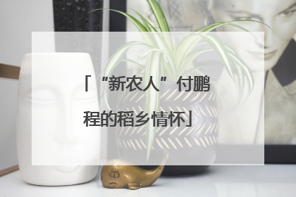 “新农人”付鹏程的稻乡情怀