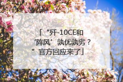 “歼-10CE和‘阵风’孰优孰劣？”官方回应来了