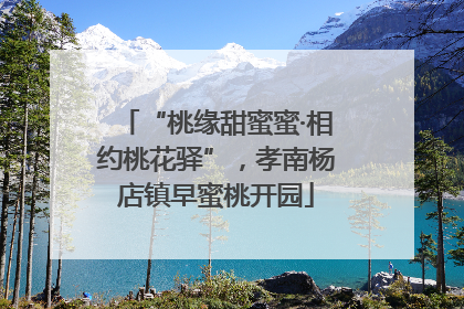 “桃缘甜蜜蜜·相约桃花驿”，孝南杨店镇早蜜桃开园