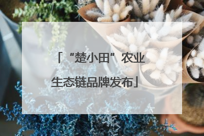 “楚小田”农业生态链品牌发布