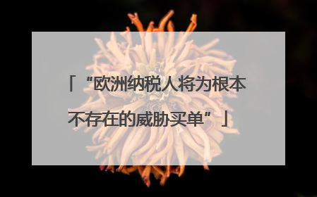 “欧洲纳税人将为根本不存在的威胁买单”