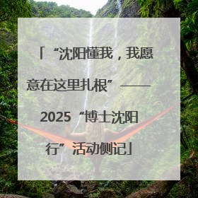 “沈阳懂我，我愿意在这里扎根”——2025“博士沈阳行”活动侧记