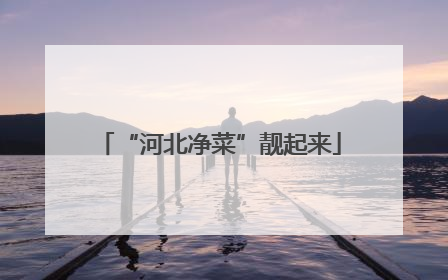 “河北净菜”靓起来