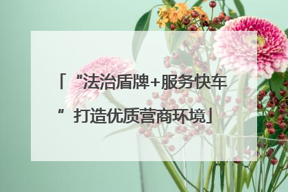 “法治盾牌+服务快车”打造优质营商环境