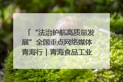 “法治护航高质量发展”全国重点网络媒体青海行｜青海食品工业协会：架起“青字号”美食的产业化桥梁