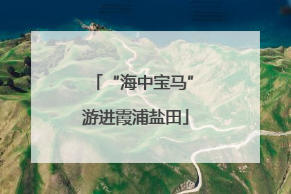 “海中宝马”游进霞浦盐田