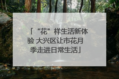 “花”样生活新体验 大兴区让市花月季走进日常生活