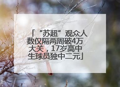 “苏超”观众人数仅隔两周破4万大关，17岁高中生球员独中二元